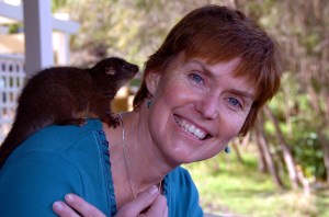 Doing some research...