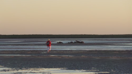 Akaren walks to wreck