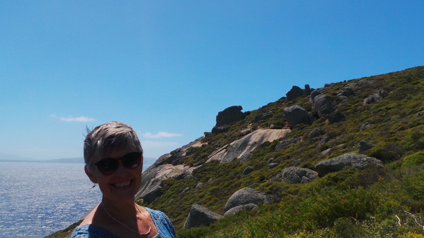 Breaksea Island -photos & aerial maps – Dianne Wolfer